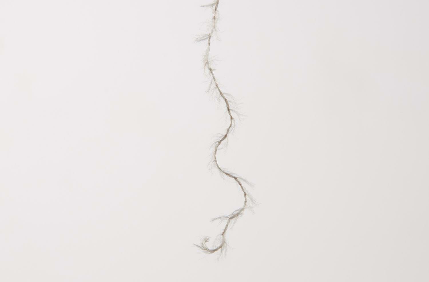 FW25_Lykanjournal4.jpg
