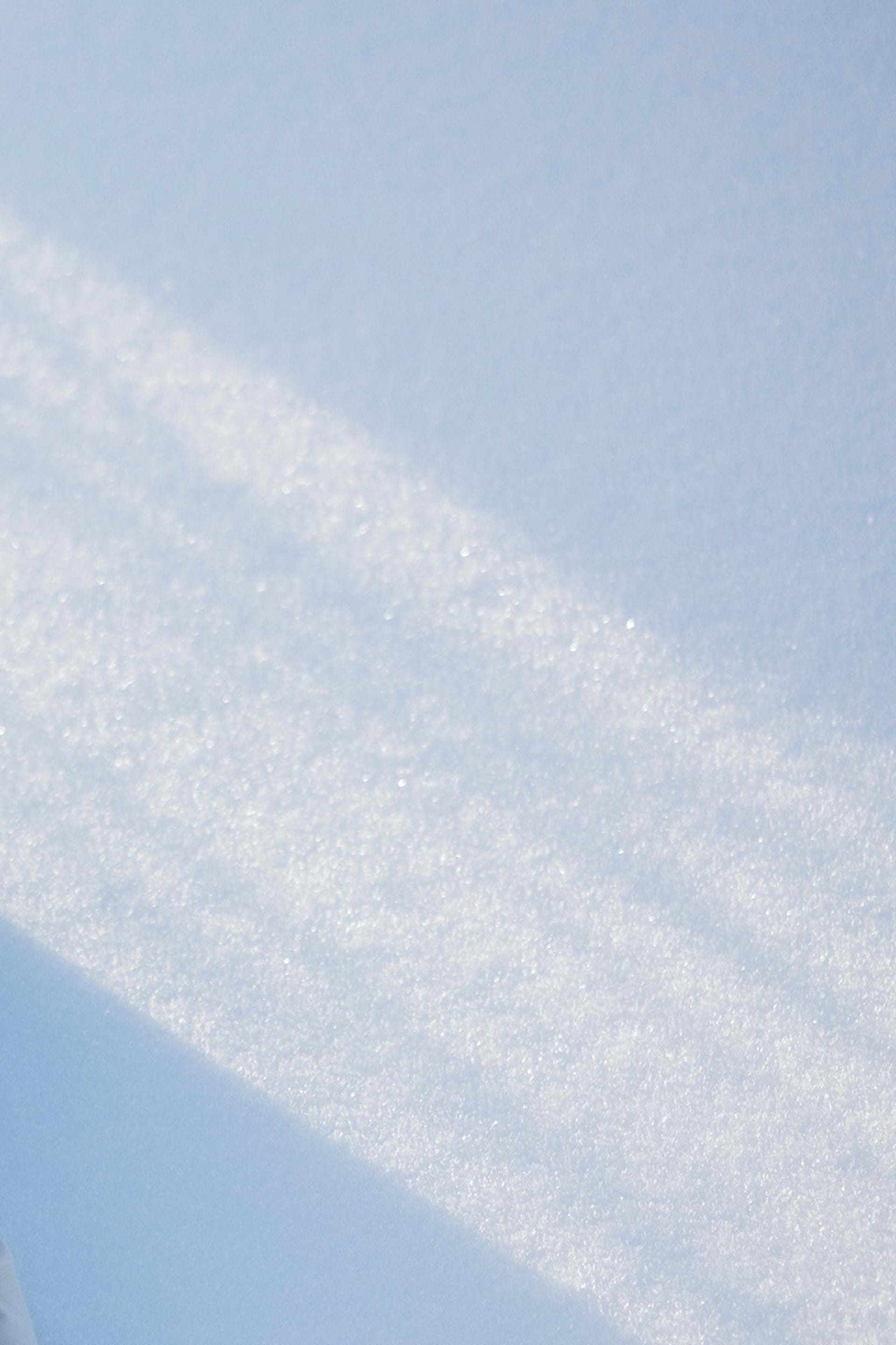 F25- Fall- News-snow-mood