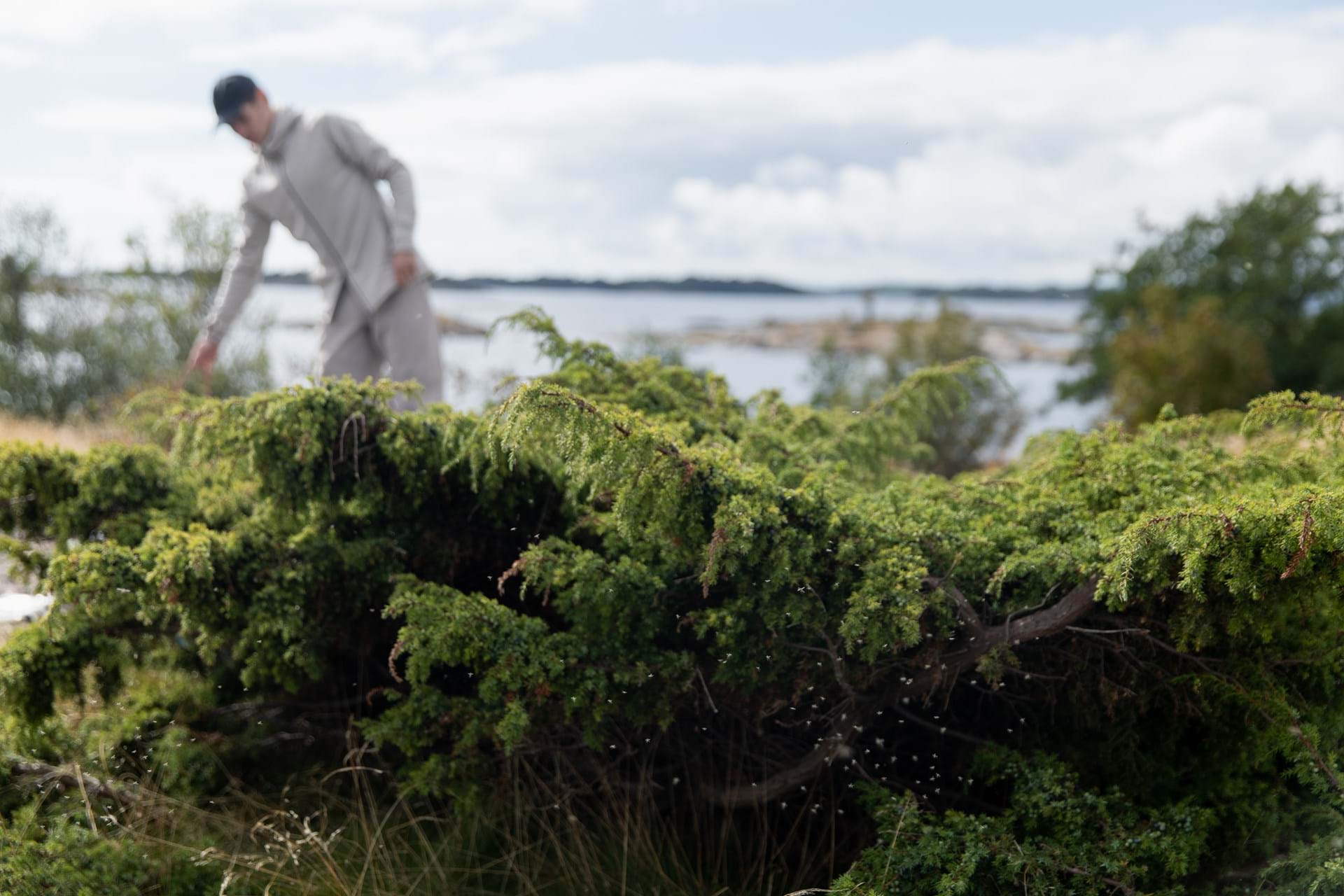 Green nature in the archipelago, man in the background wearing clothes from Houdini Sportswear