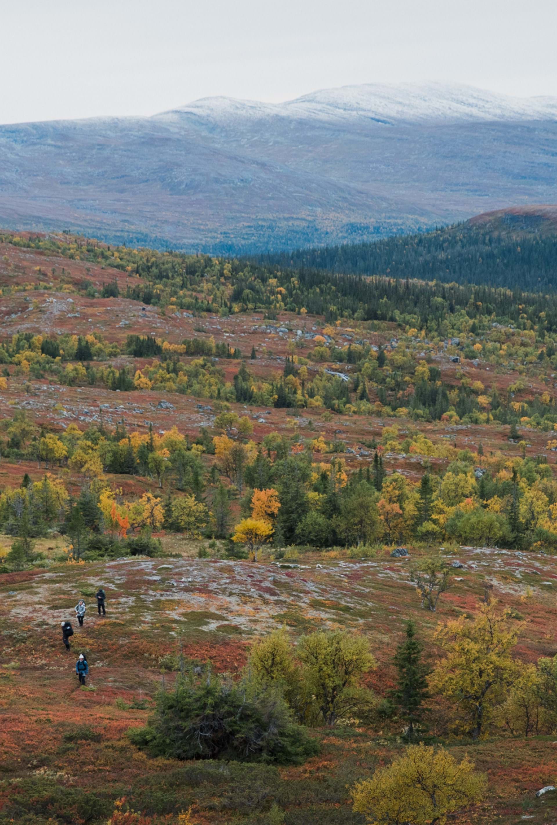  Hike  Clean  Hero  Banner 16x9 still mobile